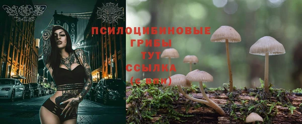бутират Балабаново