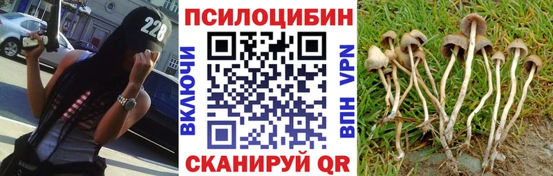 Псилоцибиновые грибы Magic Shrooms  купить   МЕГА зеркало  Бирск 