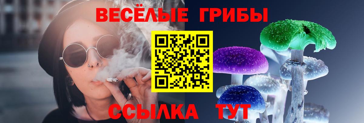 Псилоцибиновые грибы мухоморы Бирск